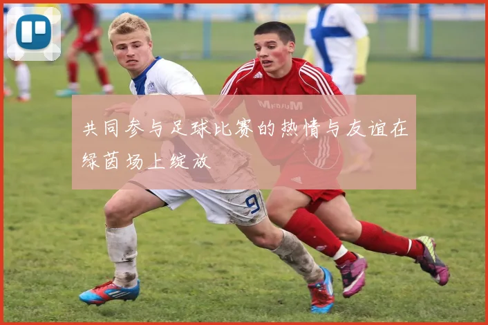 共同参与足球比赛的热情与友谊在绿茵场上绽放