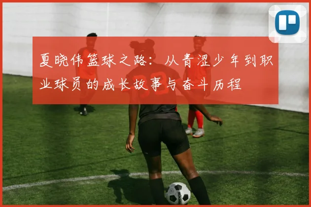 夏晓伟篮球之路：从青涩少年到职业球员的成长故事与奋斗历程