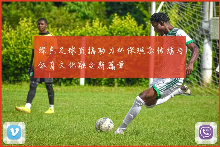绿色足球直播助力环保理念传播与体育文化融合新篇章