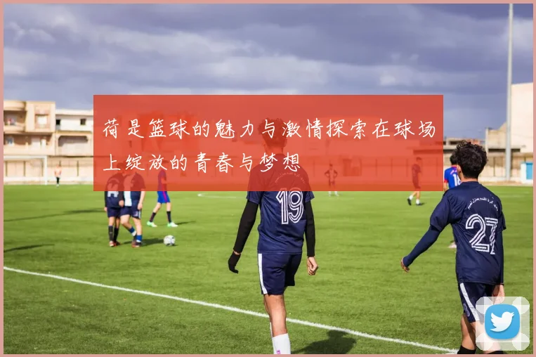 荷是篮球的魅力与激情探索在球场上绽放的青春与梦想