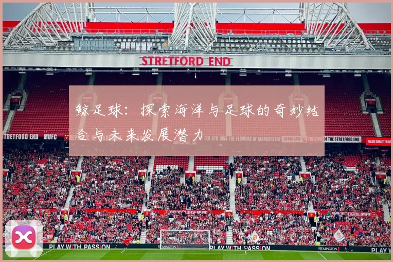 鲸足球：探索海洋与足球的奇妙结合与未来发展潜力